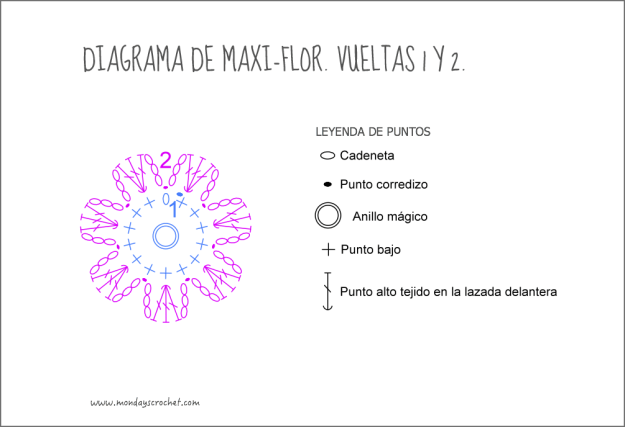 Maxi-flor-vuelta 2