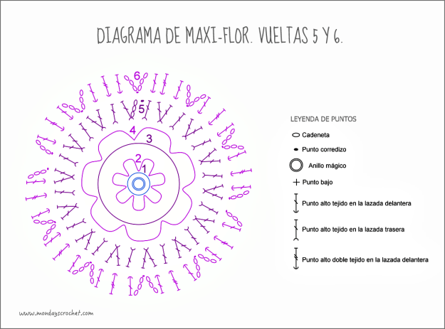 Maxi-flor-vuelta 6