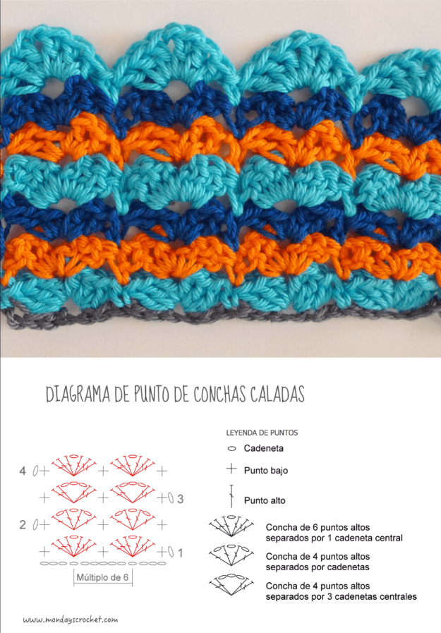 Collage conchas caladas